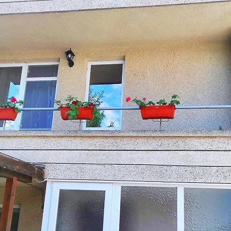 сиракови Chernomorets