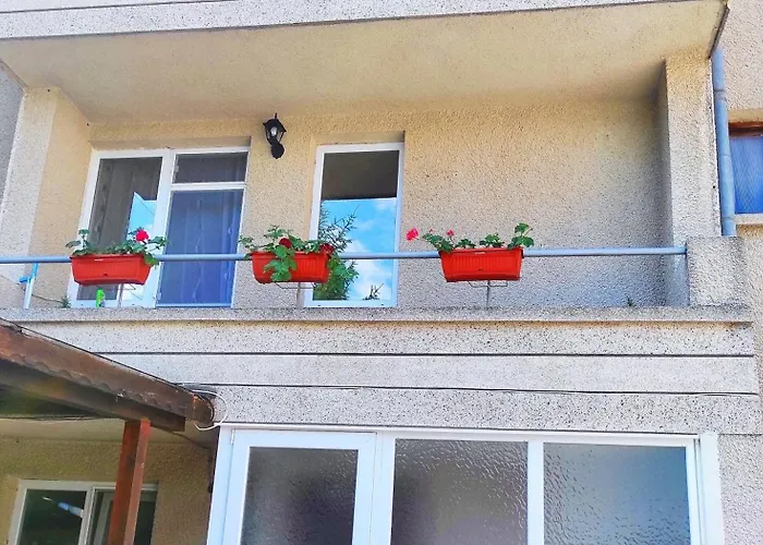 сиракови Chernomorets